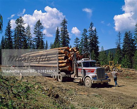 Logging truck, British Columbia, Canada, North America