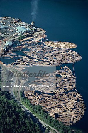 Aerial view of logs in the river beside a saw mill in British Columbia, Canada, North America