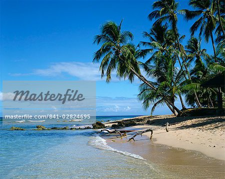 Beach, Barbados, West Indies, Caribbean, Central America