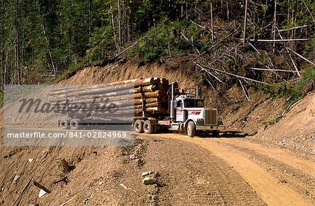 Logging truck, British Columbia, Canada, North America