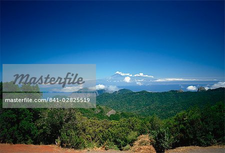 Garajonay National Park, UNESCO World Heritage Site, with island of Tenerife in background, La Gomera, Canary Islands, Spain, Atlantic, Europe