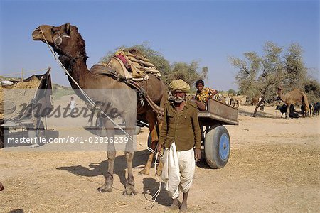 Livestock fair near Dechhu, north of Jodhpur, Rajasthan, India