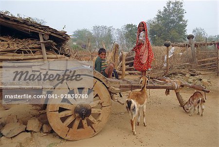 Village life, Dhariyawad, Rajasthan, India