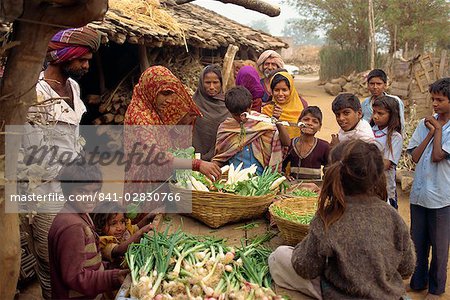 Vegetable stall, Dhariyawad, Rajasthan state, India, Asia