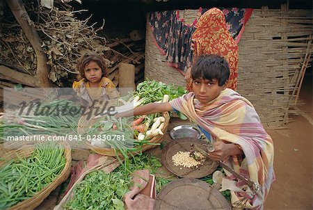 Market, Dhariyawad, Rajasthan, India