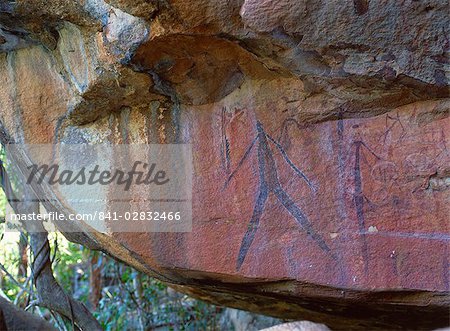 Aboriginal paintings on rock, below Little Mertens Falls, Kimberley, West Australia, Australia, Pacific