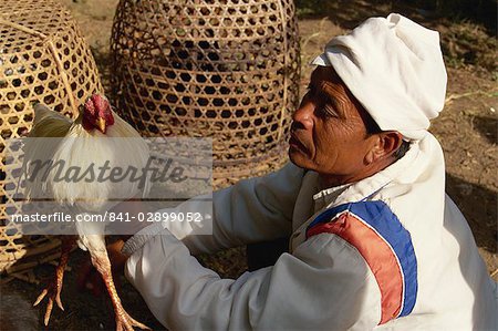 Man with rooster, highly prized fighting bird, Bali, Indonesia, Southeast Asia, Asia