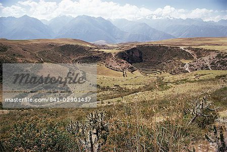 Interlinking terraces in natural landform, Cuzco, Moray, Peru, South America
