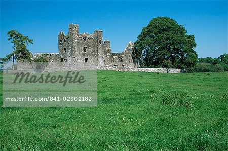 Bective Abbey, Cistercian, dating from the 12th century, Trim, County Meath, Leinster, Republic of Ireland (Eire), Europe