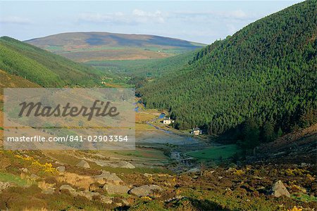 View down a valley near Glendalough, Wicklow Mountains, County Wicklow, Leinster, Republic of Ireland (Eire), Europe