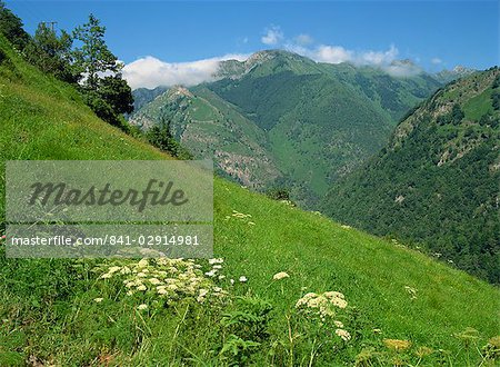 Vallee d'Aspe, Bearn, Pyrenees Atlantique, Aquitaine, France, Europe