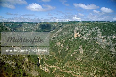 Gorges du Tarn from Roc des Hourtous, Lozere, Languedoc-Roussillon, France, Europe