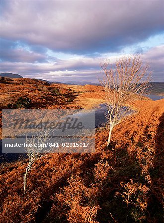 Coniston Water from Long Moss, Torver Back Common, Lake District National Park, Cumbria, England, United Kingdom, Europe