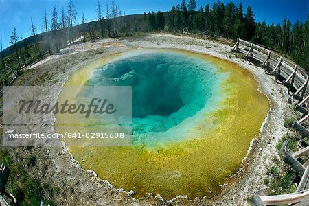 The Morning Glory Pool, Yellowstone National Park, UNESCO World Heritage Site, Wyoming, United States of America, North America