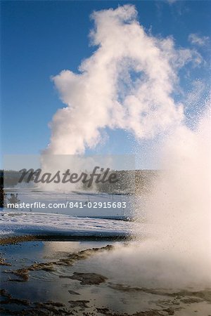 Castle and Sawmill Geysers in eruption in Old Faithful Geyser Basin in winter, Yellowstone National Park, UNESCO World Heritage Site, Wyoming, United States of America (U.S.A.), North America