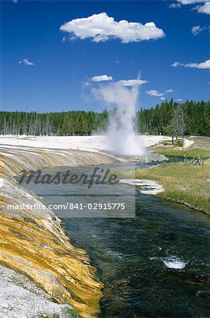 Cliff Geyser erupts from geyserite bank on edge of Firehole River through Black Sand Basin, Yellowstone National Park, UNESCO World Heritage Site, Wyoming, United States of America (U.S.A.), North America