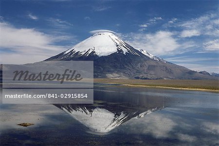 Volcano of Parinacola, 6348m high, reflected in water of Chungara Lake, Parque Nacional de Lauca, Chile, South America