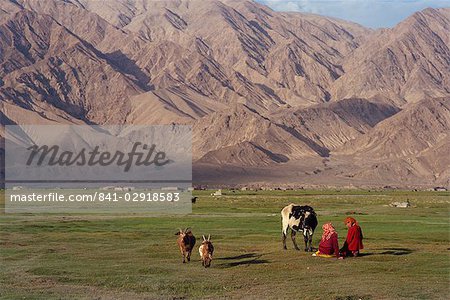 Tadjik girls with cow and goats at Tashkurghan, China, Asia