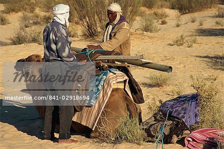 Berber guides loading camel, Sahara Desert near Douz, Tunisia, North Africa, Africa