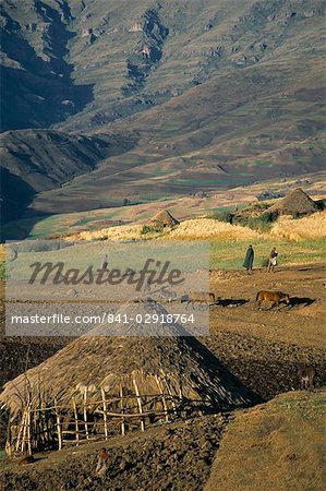 Debirichwa village in early morning, Simien Mountains National Park, UNESCO World Heritage Site, Ethiopia, Africa