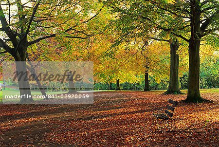 Trees in autumn colours and park bench beside a path at Clifton, Bristol, England, United Kingdom, Europe