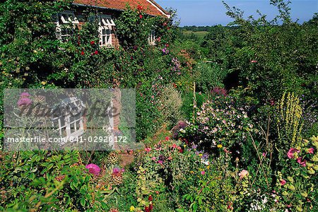 Detail of cottage and garden, Suffolk, England, United Kingdom, Europe