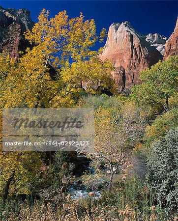 Trees in fall colours beneath peaks in the Court of the Patriarchs in the Zion National Park, Utah, United States of America, North America
