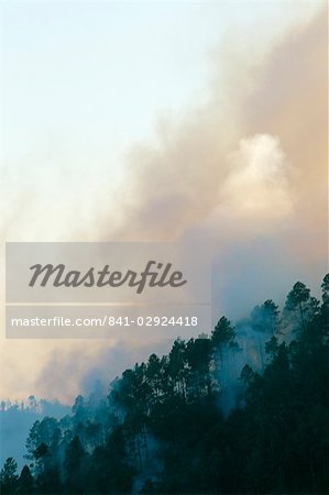 Forest fire in hills above Lake Atitlan, Guatemala, Central America