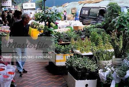 Flower market, Mong Kok, Kowloon, Hong Kong, China, Asia