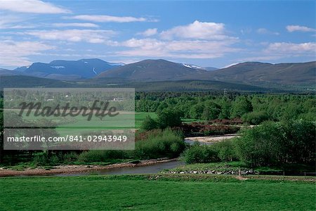 Spey Valley and the Cairngorms, Highland region, Scotland, United Kingdom, Europe