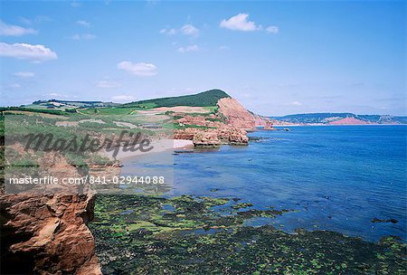 Sandstone stacks and cliffs, Ladram Bay, Devon, England, United Kingdom, Europe