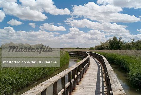 Boardwalk in the Tablas de Daimiel National Park, La Mancha, Spain, Europe