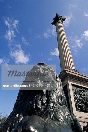 Lion statue below Nelson's Column, Trafalgar Square, London, England, United Kingdom, Europe