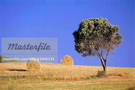 Countryside, Sardinia, Italy, Europe