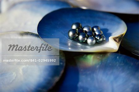 Black pearls, Cook Islands, South Pacific, Pacific