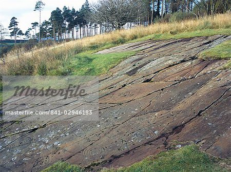 Cup and ring carvings, the largest cluster of prehistoric cup and ring carvings in Britain, Achnabreck, Kilmartin Glen, Argyll and Bute, Scotland, United Kingdom, Europe