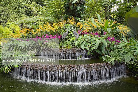 Crane sculptures and decorative fountain surrounded by orchids growing outside in National Orchid Garden in Botanic Gardens, Singapore, Southeast Asia, Asia