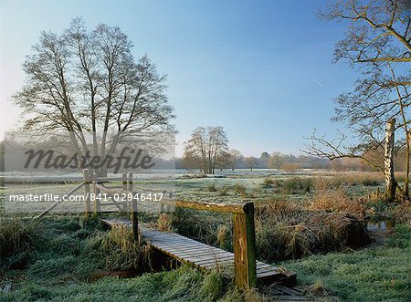 Frost at Thundery Meadows where River Wey runs through the Surrey Wildlife Trusts wetland reserve, Elstead, Surrey, England, United Kingdom, Europe