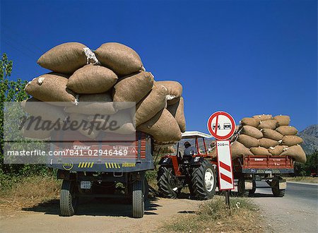 Cotton being transported to auction, Ganakale, Anatolia, Turkey, Asia Minor, Eurasia