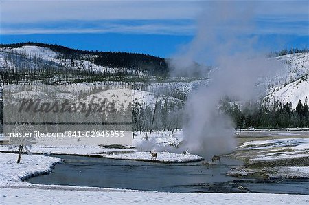 Geysers in Yellowstone National Park, UNESCO World Heritage Site, Montana, United States of America, North America