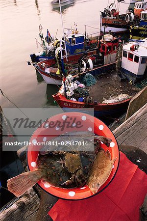 Fish and fishing boats, France, Europe