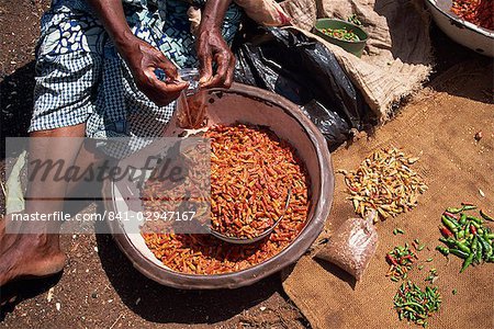 Woman sorting chili peppers (chillies) in a metal bowl, Ghana, West Africa, Africa