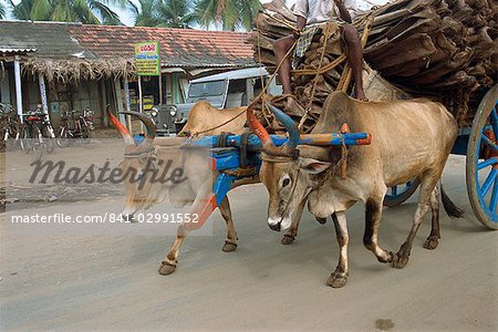 Image result for bullock cart in tamil nadu