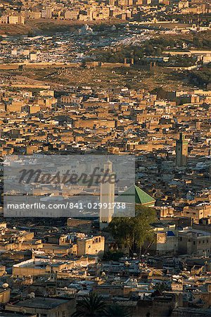 The medina or old walled city from a hill, Fez, UNESCO World Heritage Site, Morocco, North Africa, Africa