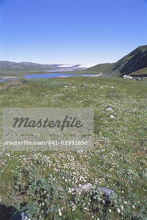 Inland icecap in distance, Kangerlussuaq, Greenland, Polar Regions