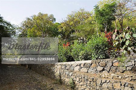 The National Botanical Garden at Sao Jorge dos Orgaos, Santiago, Cape Verde Islands, Africa