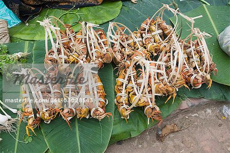 Morning food market, Luang Prabang, Laos, Indochina, Southeast Asia, Asia