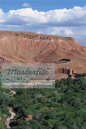 High angle view of oasis, Dades Valley, Morocco, North Africa, Africa