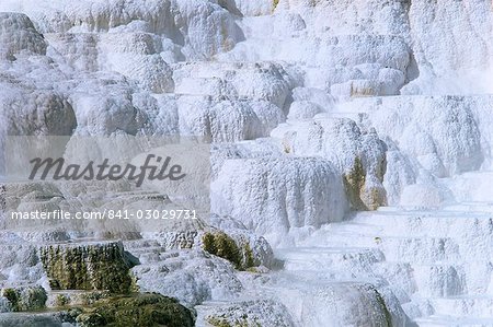 Crystal Spring, Mammoth Hot Spring, Yellowstone National Park, UNESCO World Heritage Site, Wyoming, United States of America, North America