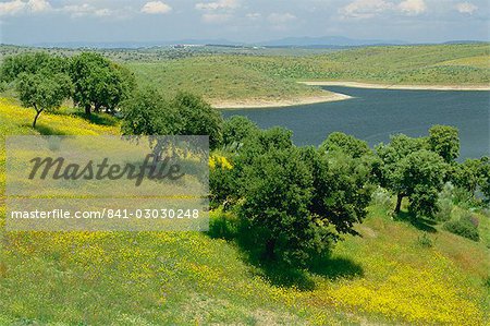 Landscape of fields, trees and lake in the Embalse de Cigara near Guadalupe in Extremadura, Spain, Europe
